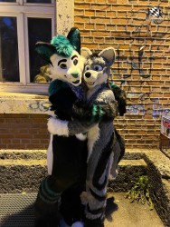 bfd111 von werefox aries