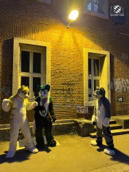 bfd111 von werefox aries