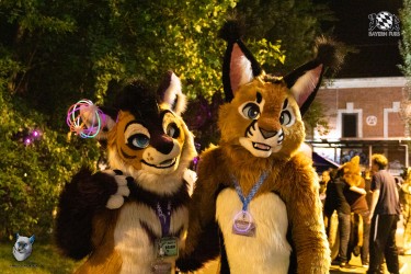 bfd111 0266 von final