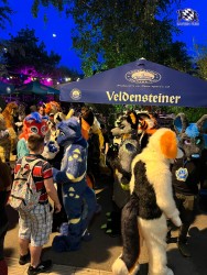 bfd111 von werefox aries