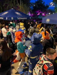 bfd111 von werefox aries