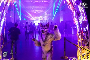 bfd111 0289 von final