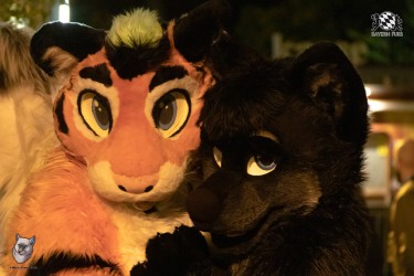 bfd111 0296 von final