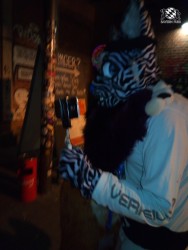 bfd111 von augustamars