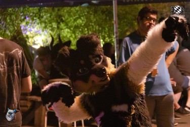 bfd111 0310 von final