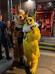 bfd111 von werefox aries