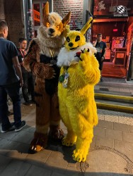 bfd111 von werefox aries