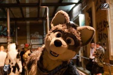 bfd111 0363 von final