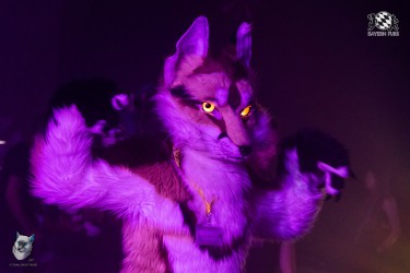 bfd111 0381 von final