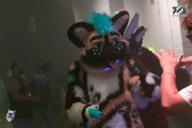 bfd111 0382 von final