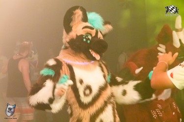 bfd111 0383 von final