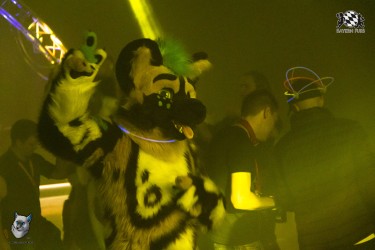 bfd111 0384 von final