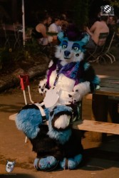 bfd111 0431 von final