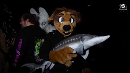 bfd12 von pretzelbat